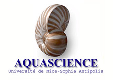 Aquascience