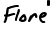 Flore'' 