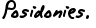 Posidonies. 