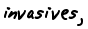 invasives, 