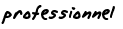professionnel 